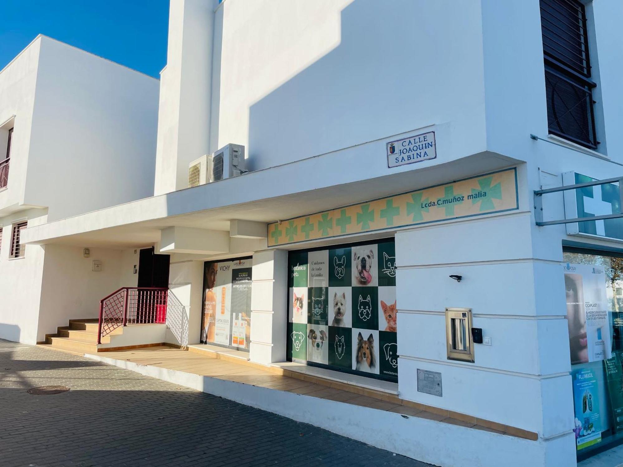 Ferienwohnung Atico Premium Conil Con 2 Terrazas, Parking, Piscina, Aire Ac Y Wifi -Solo Familias Y Parejas- Conil De La Frontera Exterior foto